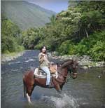 ワイピオ渓谷トレイル乗馬ツアー（イメージ）
